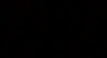 UFO Sightings Over Christchurch, New Zealand
