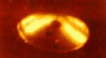 More and More UFO Enthusiasts Believe That There Is Life outside the Earth