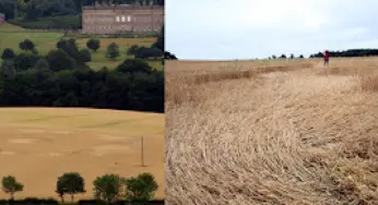 New crop circles from all over the Europe