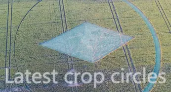 New crop circle reports from UK & Netherlands