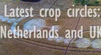 2014 crop circles: Netherlands and UK