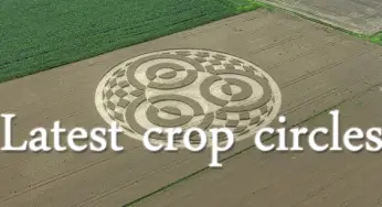 Crop circles 2014: Germany & UK