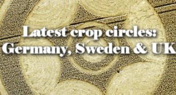 Latest crop circles: Germany, Sweden and UK