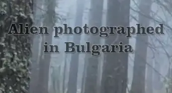 Alien-like being photographed in Bulgaria