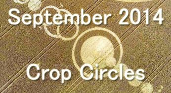September crop circles: UK & Netherlands