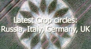 Latest crop circles from Russia, Italy, Germany and UK