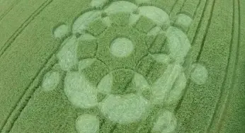 Latest crop circles: Italy, UK & Germany