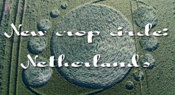 Crop circle found in Merenswegje, Netherlands 15-Jun-2015