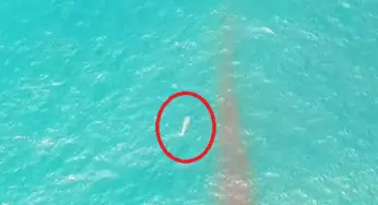 Drone Captures A UFO Over Pacific Ocean