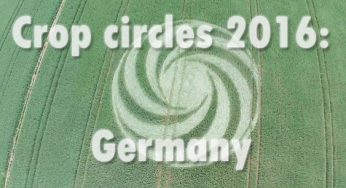 2016 crop circles: Brandenburg, Germany