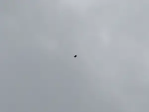 Solid Egg-shaped Ufo Photographed Over Maryland 16-jul-2016 • Latest 