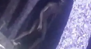 Argentina Police Photograph Alien Being