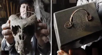 Two Apparent Alien Skulls and a Nazi Briefcase Discovered in Remote Mountain Woods