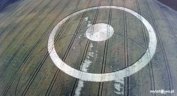 Latest crop circle report: Orchów, Poland