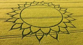 Unraveling the Mystery: The Crop Circles of 2023 at Potterne Hill, Wiltshire
