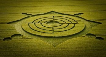 2023 Crop Circles: An Intriguing Discovery at Roundway Down