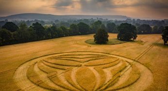 Decoding the Intrigue: Wiltshire’s 2023 Eastleigh Court Crop Circles Explained!