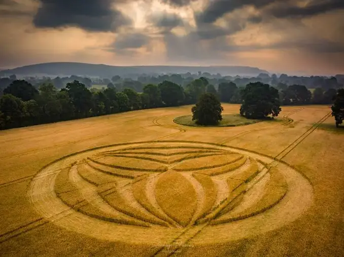 crop circles 2023