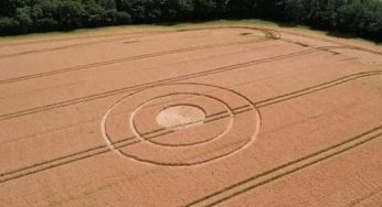 The 2023 Crop Circle Phenomenon: An Ethereal Encounter at Hetty Pegler’s Tump Long Barrow