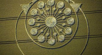 The Mysterious Crop Circles of 2023: The Enigmatic Formation at Allan King Way
