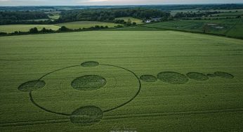 Exploring the First 2024 Crop Circle at Wilton Windmill